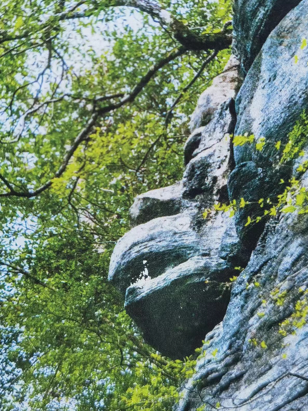 恩施包车游哪家强？本地人私藏的靠谱公司Top5！