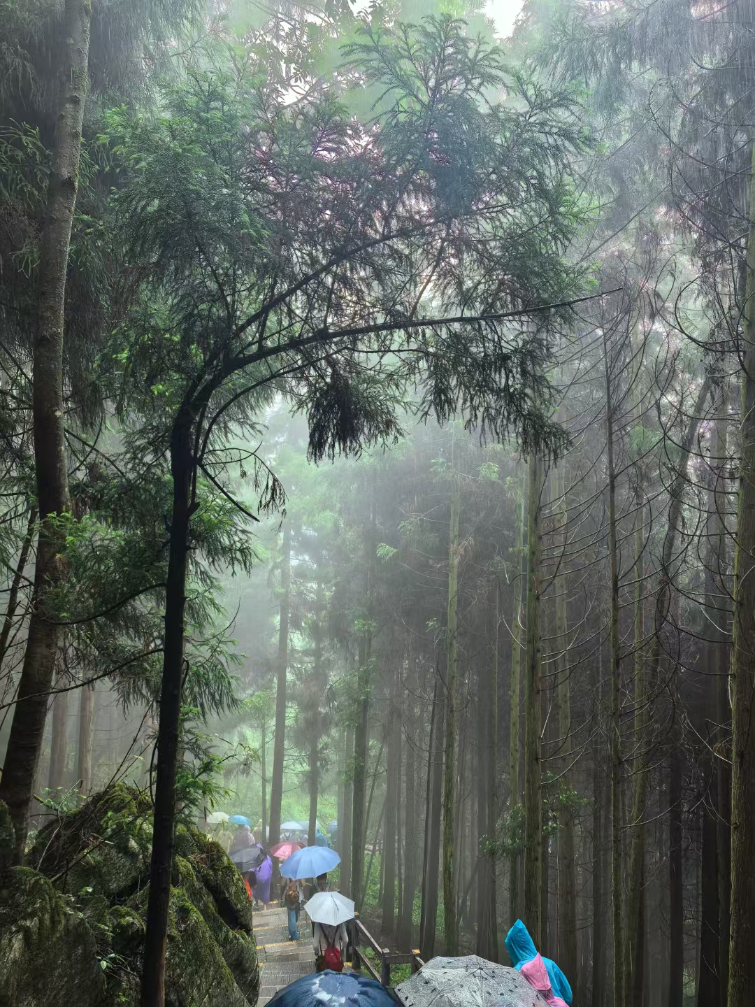 微信图片_20250611215728