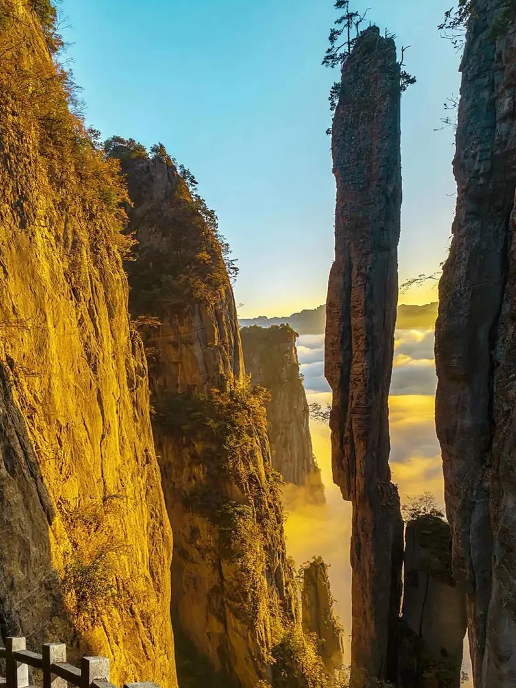 微信图片_20240914204553