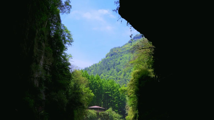 恩施市+恩施大峡谷+腾龙洞风景区+鹤峰屏山旅游景区4日3晚私家团·【恩施，暑假“天然大冰箱”，开门！】峡谷+溶洞+悬浮船4日治愈之旅｜恩施大峡谷-七星寨&云龙地缝｜屏山峡谷【管家&1对1服务+电梯船票观光车全包】