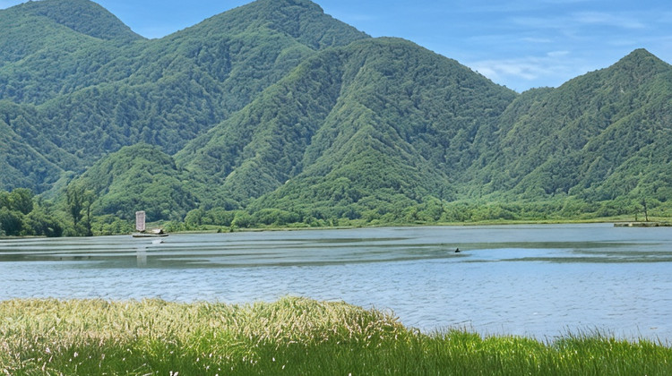 神农架+恩施市+神农架风景区+鹤峰屏山旅游景区8日7晚跟团游·8人vip小团『纯玩0购·鄂西全景』甄选本平台钻级酒店【神农架4大景点+网红屏山峡谷/东方仙本那+腾龙洞/洞天仙境+5A恩施大峡谷/打卡网红一炷香+梭布垭】+24H接送机/站